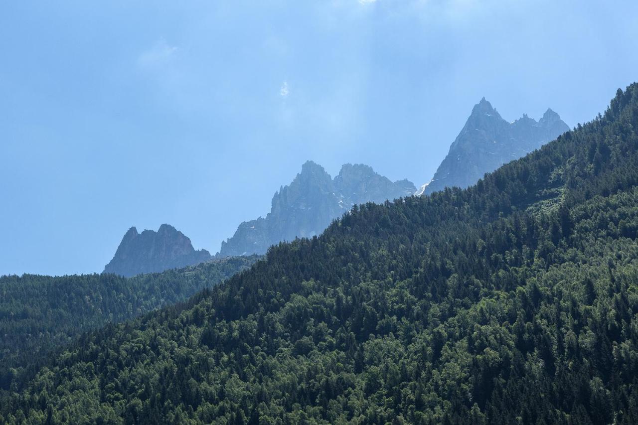 Apartment Iris 4 - Central Chamonix Haven Mont Blanc Экстерьер фото